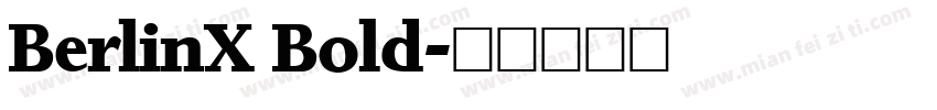 BerlinX Bold字体转换